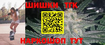 гашик Славгород