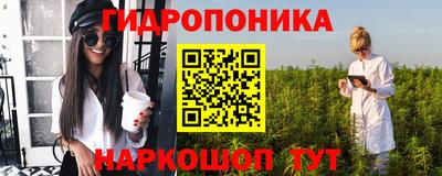 прущие грибы Сланцы