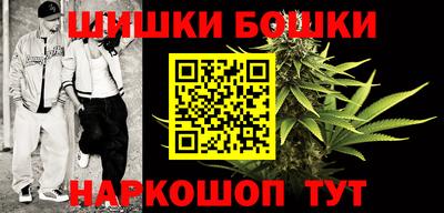 прущие грибы Сланцы