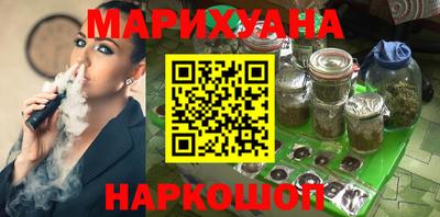 гашик Славгород