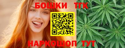 гашик Славгород