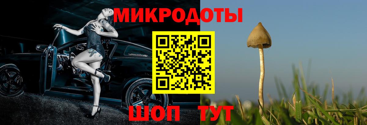 Галлюциногенные грибы GOLDEN TEACHER Баксан