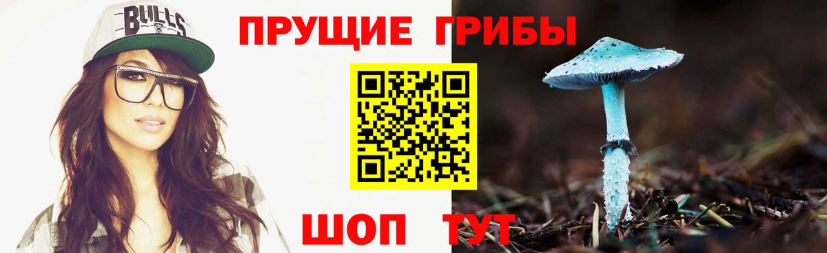 Баксан  Псилоцибиновые грибы мухоморы  Вход с VPN 